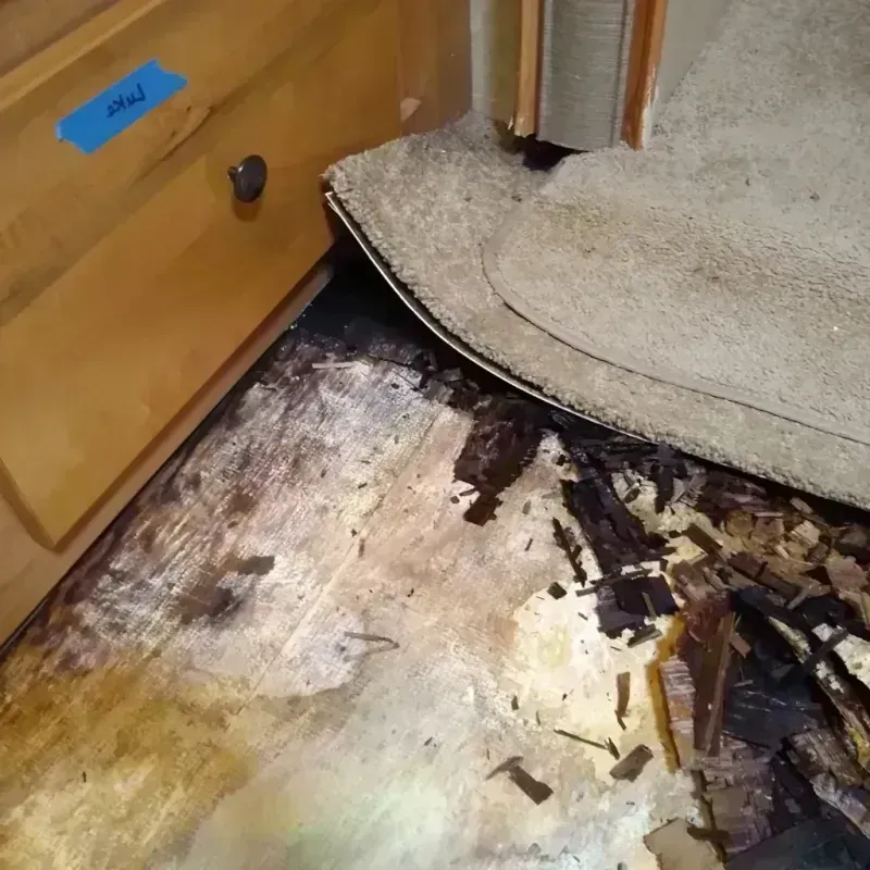 Wood Floor Water Damage in Florida Ridge, FL